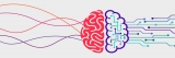 AI, IoT & Cloud Help Companies To Do More – 2024 Guide