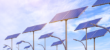 4 Tips for Solar Street Light Installation