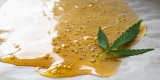 All There Is to Know About Marijuana Wax