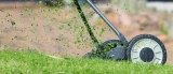 Taking Care of Your Lawn Properly – 2024 Guide