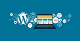 Why Having A WordPress Website Is A Must in 2024?
