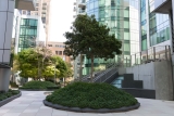 Tips and Tricks to Improve Your Commercial Building’s Landscape